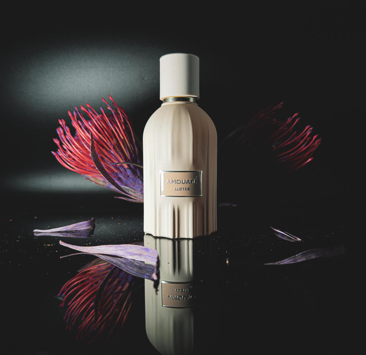 Perfume Amouage Lustre 100ml L - Perfume Fragrance Families avaliação e preço
